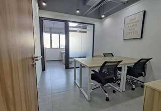 河北区厂区树木养护公司